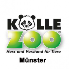 Koi Händler - 48153 Münster - Kölle Zoo Münster
