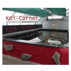 Koi Corner