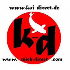 Koi Direct
