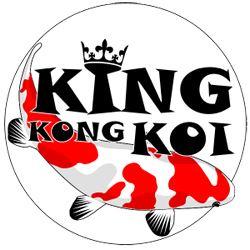 KING KONG KOI GbR