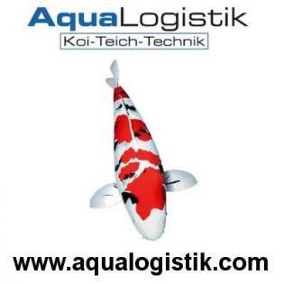 Aqualogistik GmbH