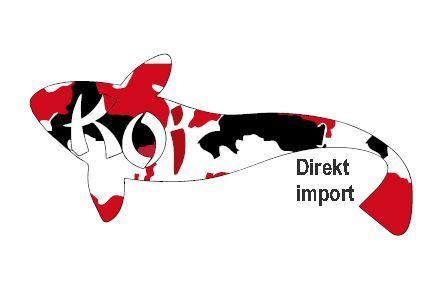 Koi-Direktimport