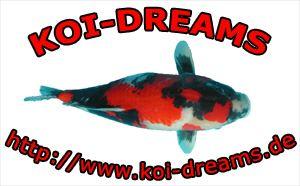 Koi-Dreams