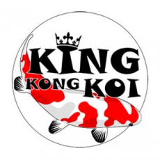 King Kong Koi