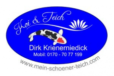 Koi und Teich