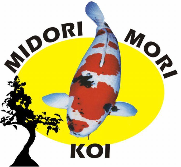 Midori- Mori- Koi