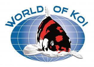 World of Koi