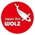 Japan Koi Wolz