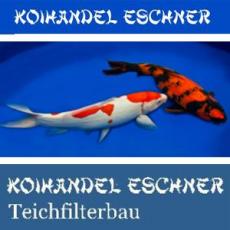 Koihandel Eschner