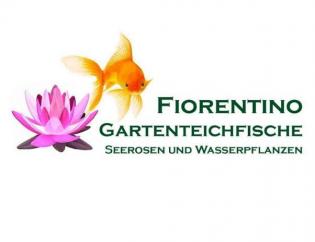 Fiorenttino Gartenteichfische