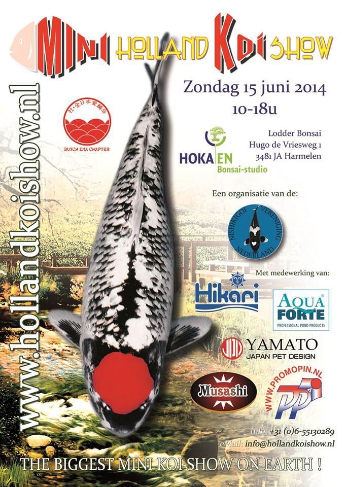 Holland Koi Mini Show