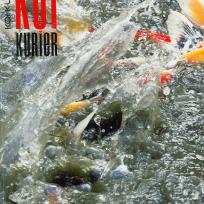 Koi Magazin - Koi Kurier - 2014