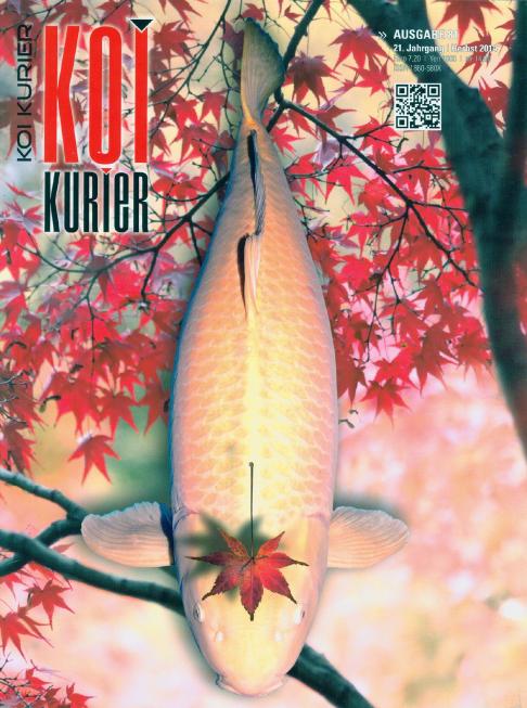Koi Kurier Magazin 80