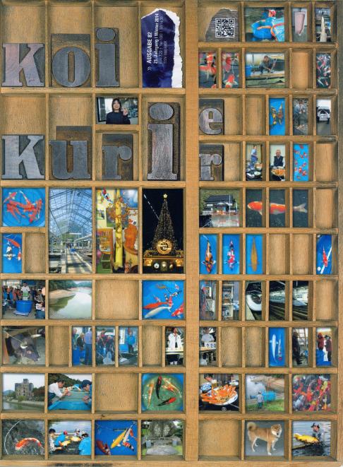 Koi Kurier Magazin Ausgabe 82