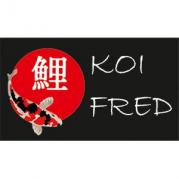 91154 Roth - Koi-Fred