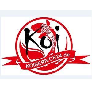 KoiService24.de Michelsen