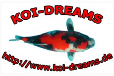 Koi Dreams