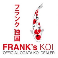 Franks Koi