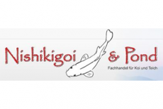 Nishikigoi & Pond Koi & Teich