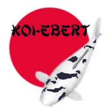 Koi Ebert