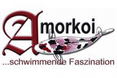 Amorkoi