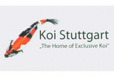 Koi Stuttgart