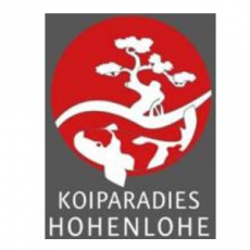 Koi Paradies Hohenlohe