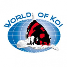 World of Koi