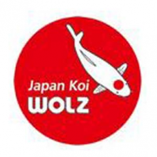 Japan Koi Wolz