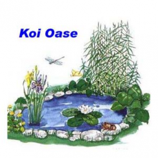 Koi Oase