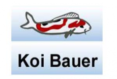 Koi Bauer