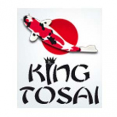 King Tosai